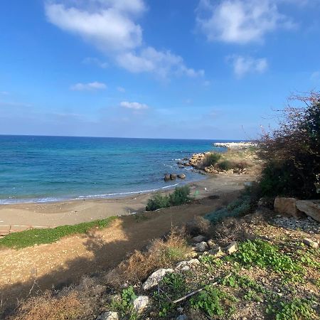 Olive Tree Villa - Protaras Exteriér fotografie