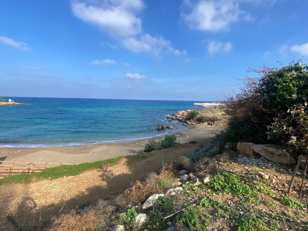 Olive Tree Villa - Protaras Exteriér fotografie