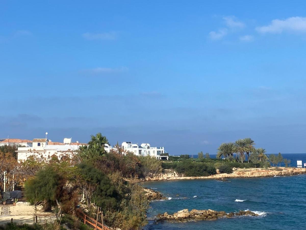 Olive Tree Villa - Protaras Exteriér fotografie